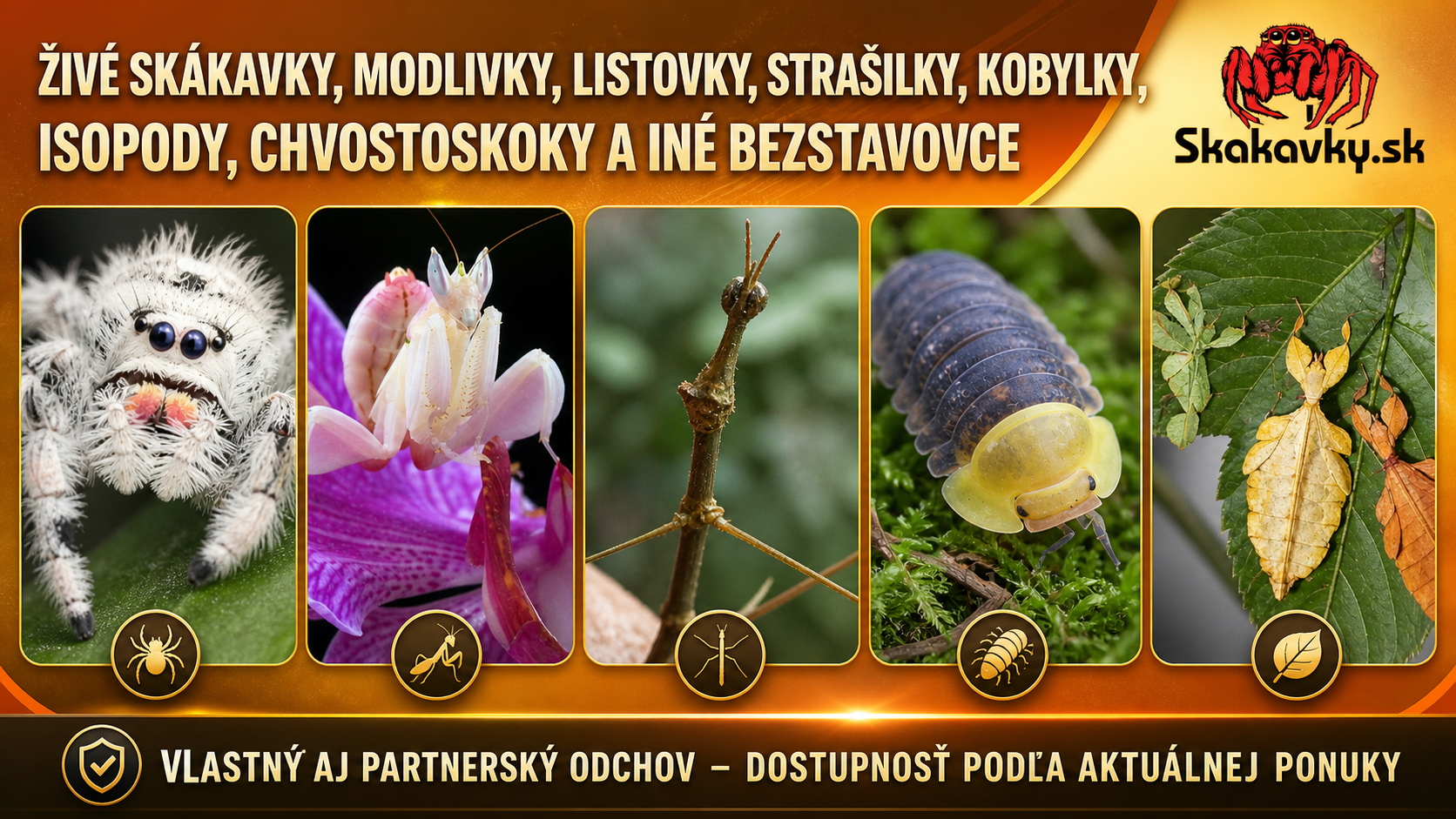 Aktuálna ponuka zvierat