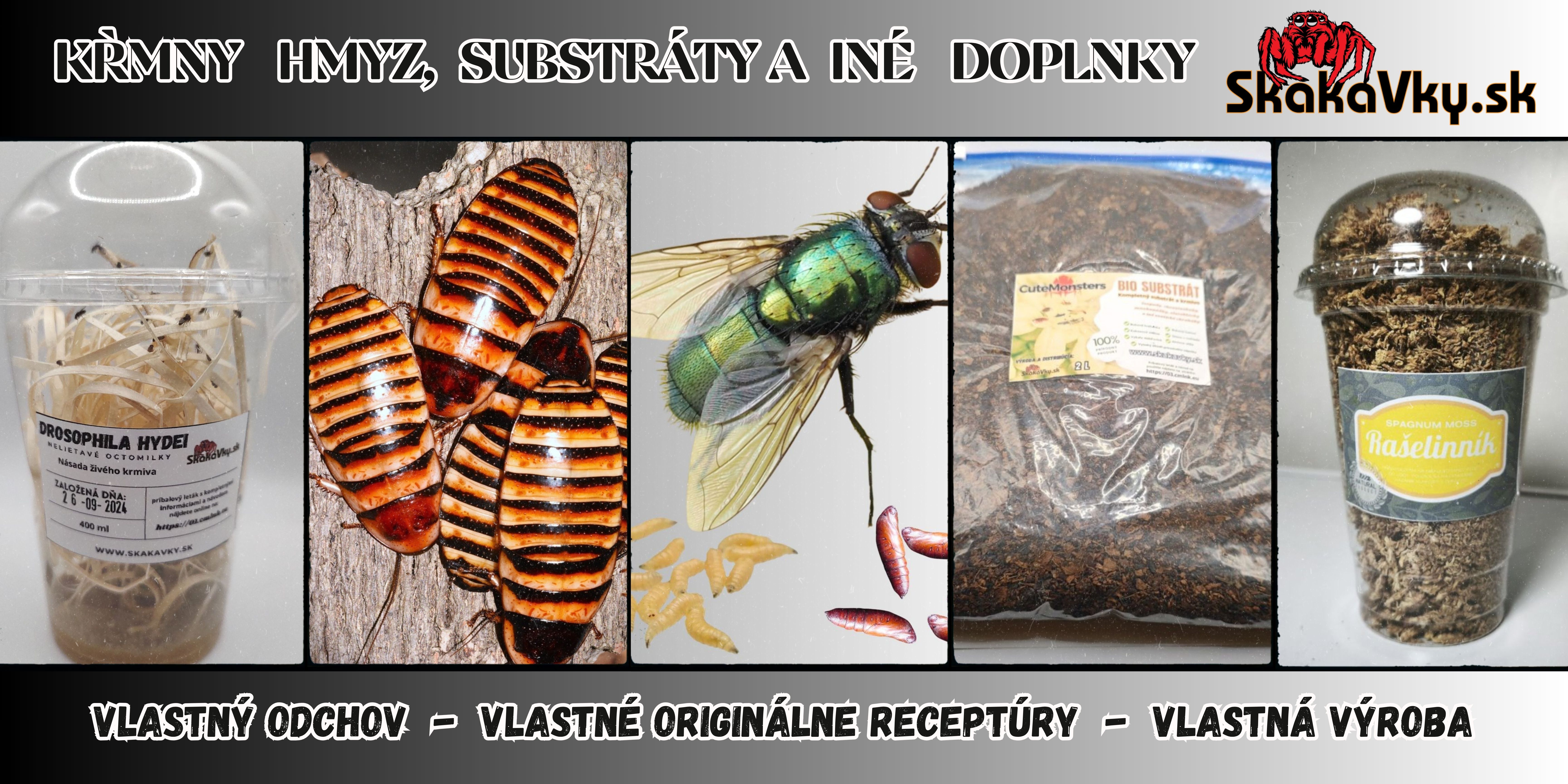 Kŕmny hmyz, krmivá a iné doplnky