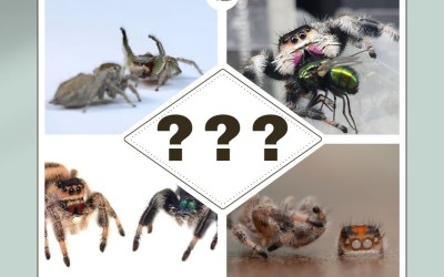 1. Najčastejšie otázky a odpovede !