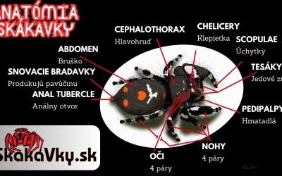 2. Základné informácie - Biológia