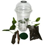 Starter Pack 2v1 - Stromový