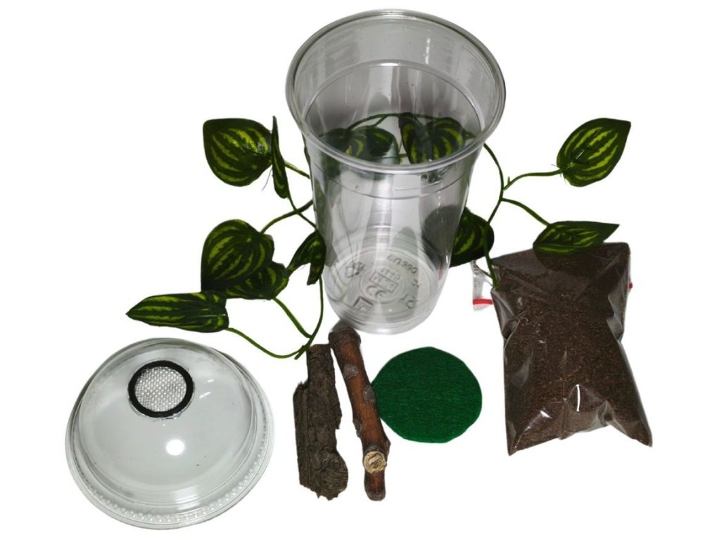 Starter Pack 2v1 - Stromový