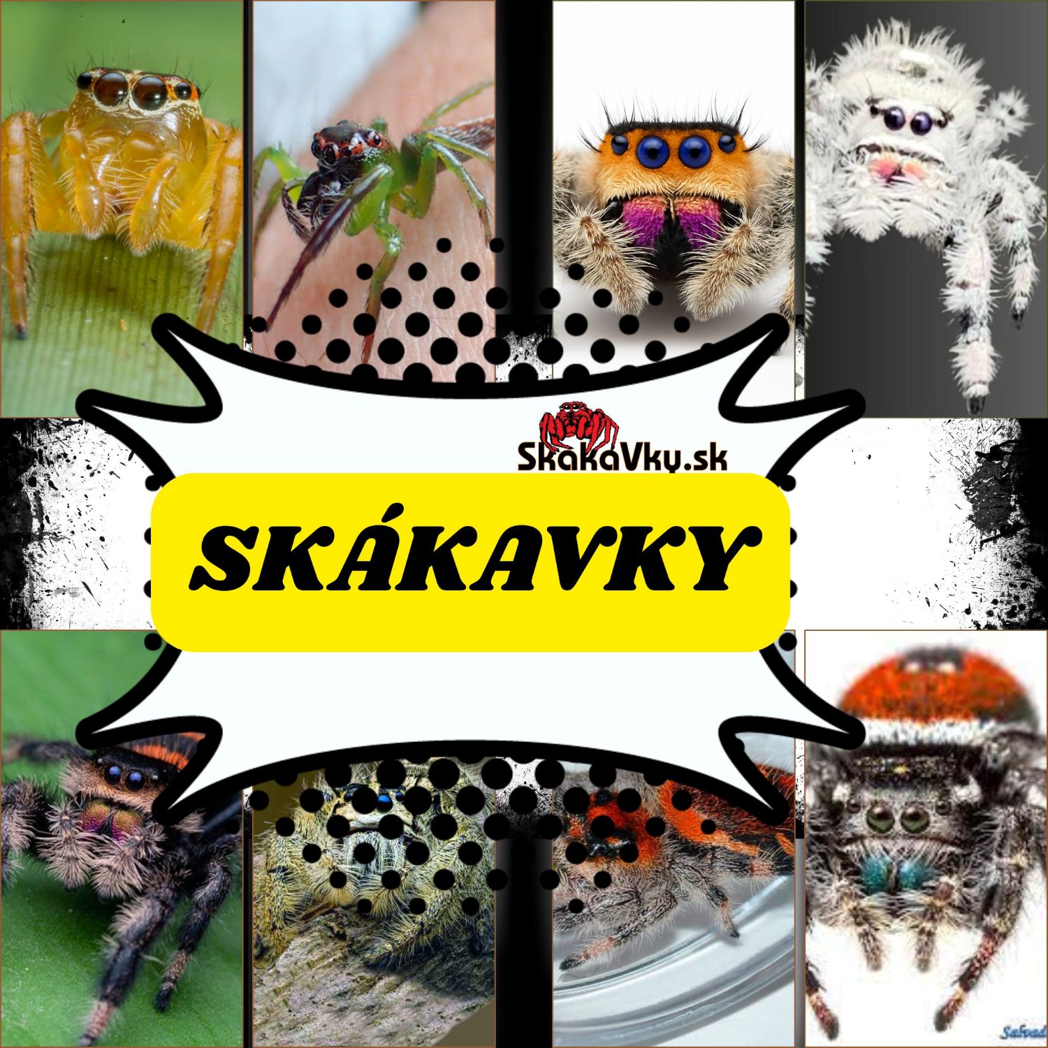 Skákavky