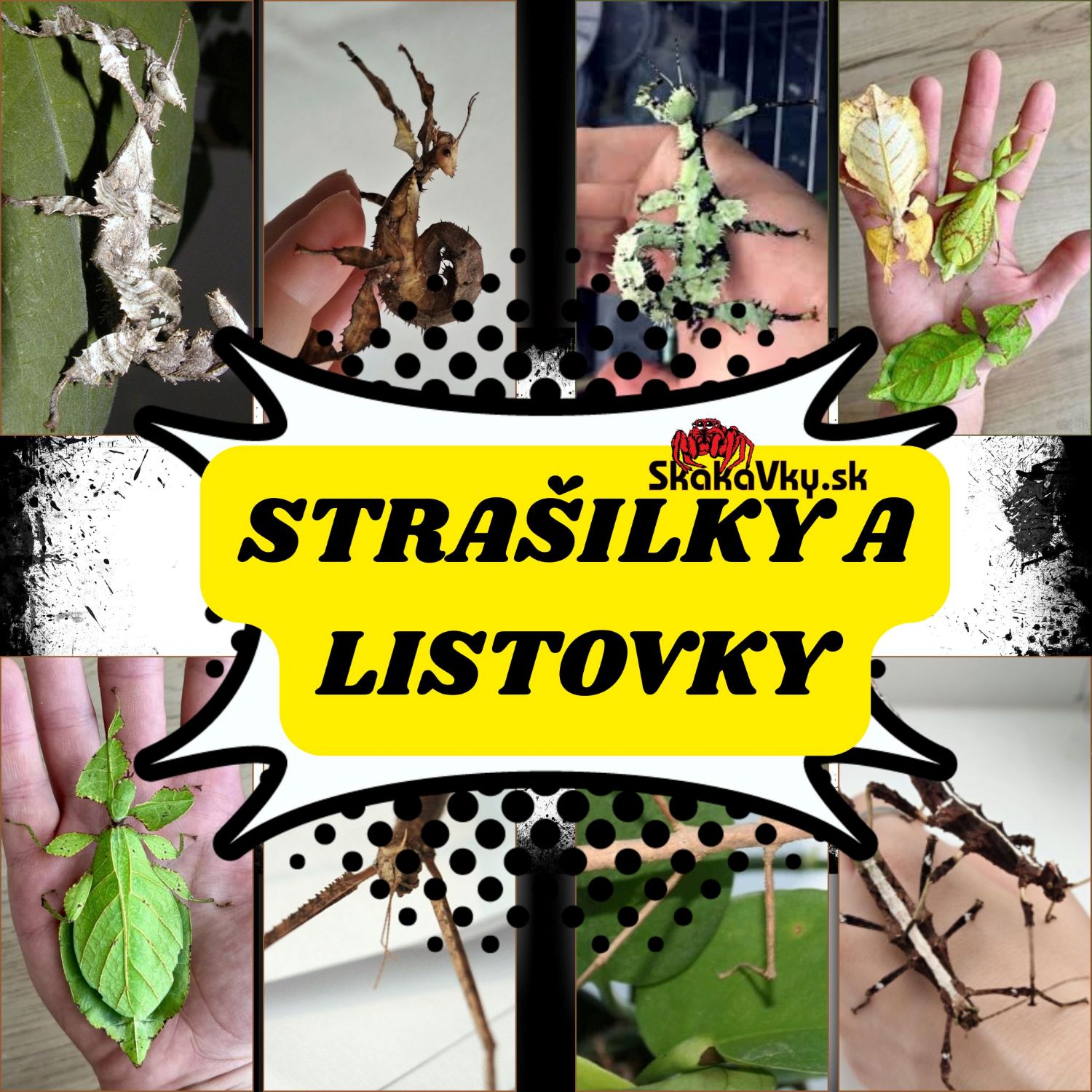 Strašilky a Listovky