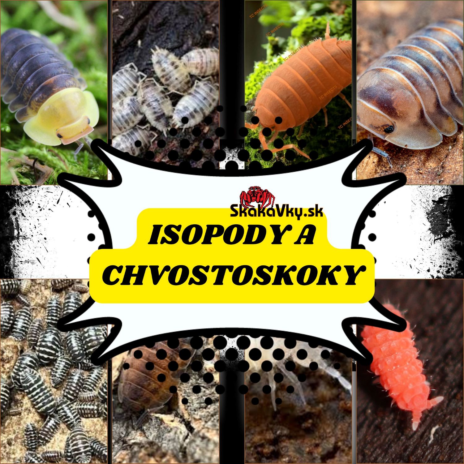 Isopody a Chvostoskoky /Okrasné/
