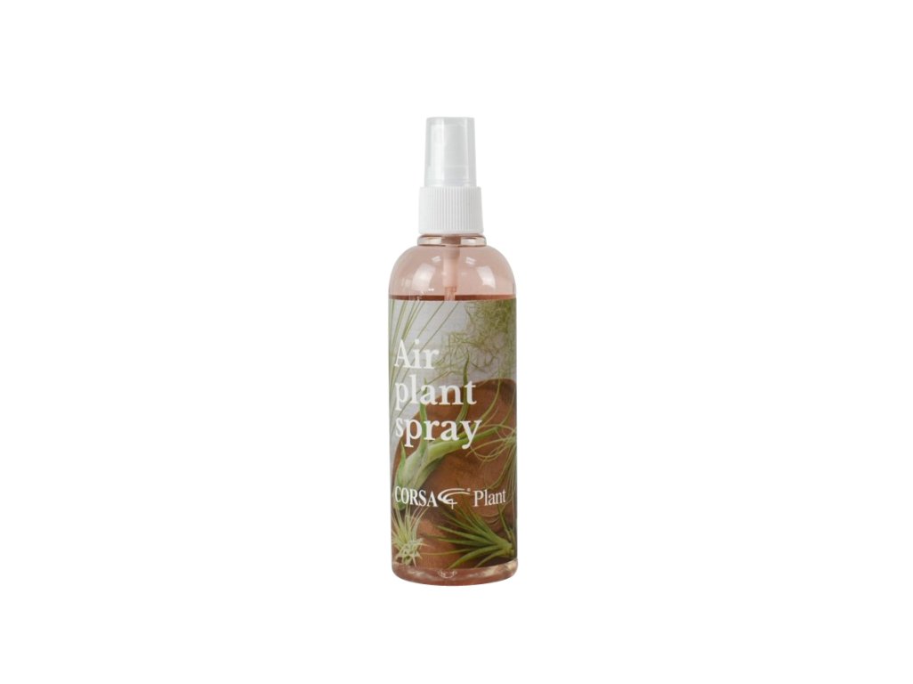 Hnojivo na tillandsie Air plant spray