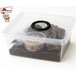 Kompletný "Starter Pack" na chov Isopodov