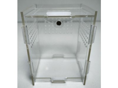 Akrylové terárium - Mini stromové