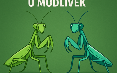 5. Určovanie pohlavia u modliviek