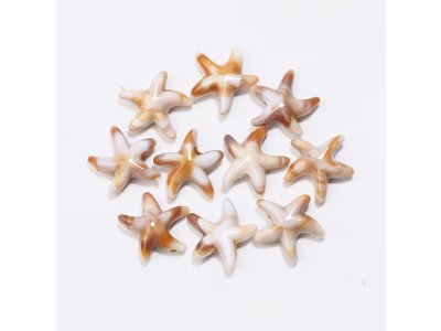 Morské mini hviezdice